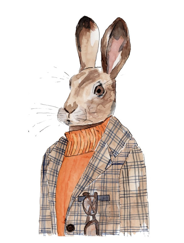 MR. BUNNY
