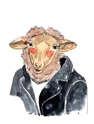 COOL SHEEP