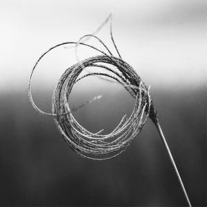 NATUREZA PRETO E BRANCO 2