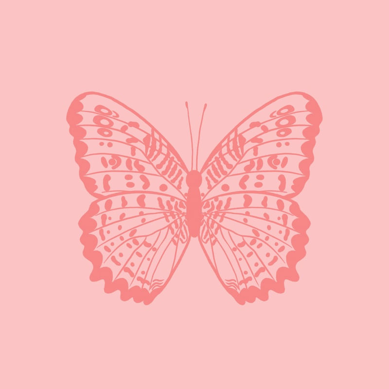 PINK BUTTERFLY