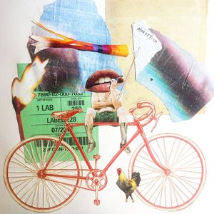 BIKE BOCA