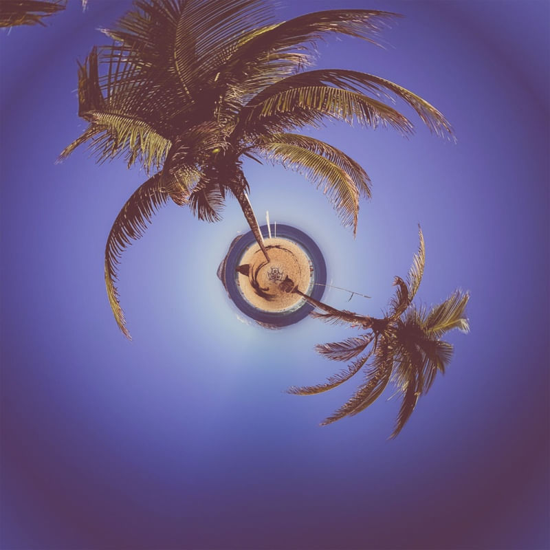 PURPLE COCONUT
