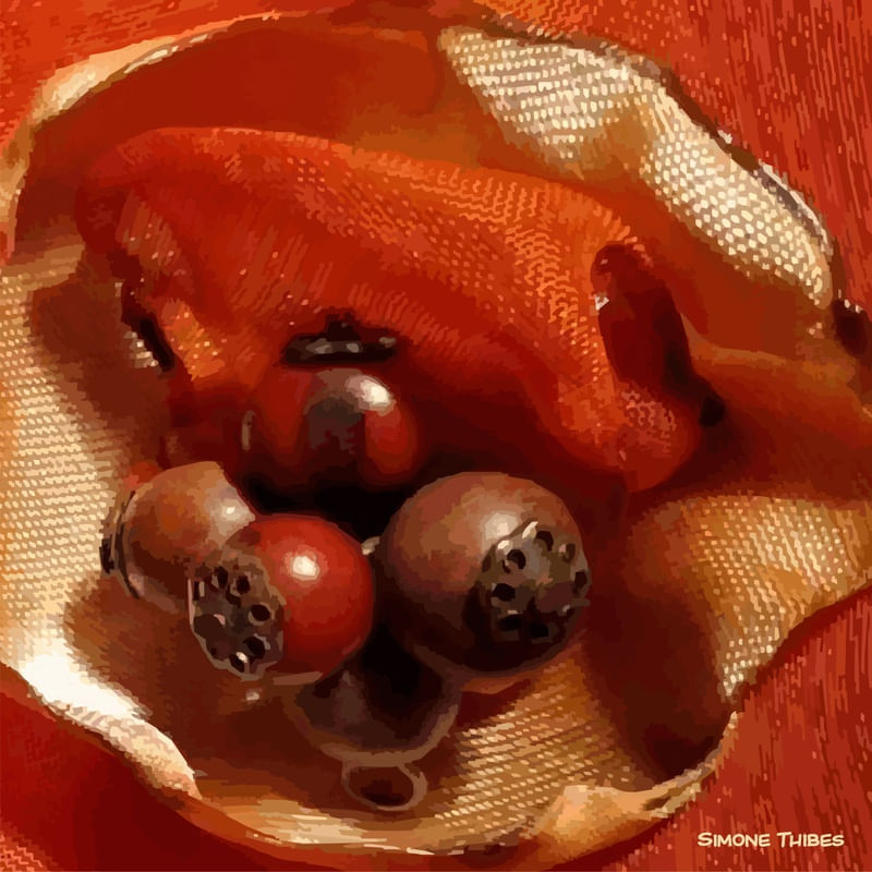 MAR VERMELHO 1