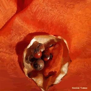 MAR VERMELHO 2
