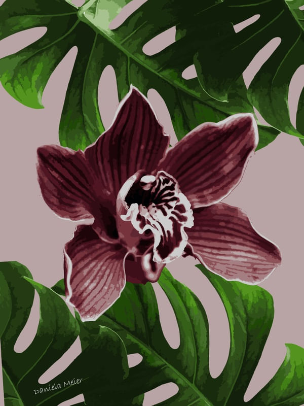 ORCHID II