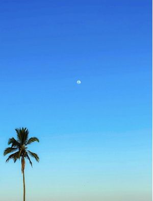 BLUE SKY AND MOON