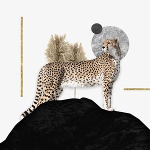 MODERN SAVANNA