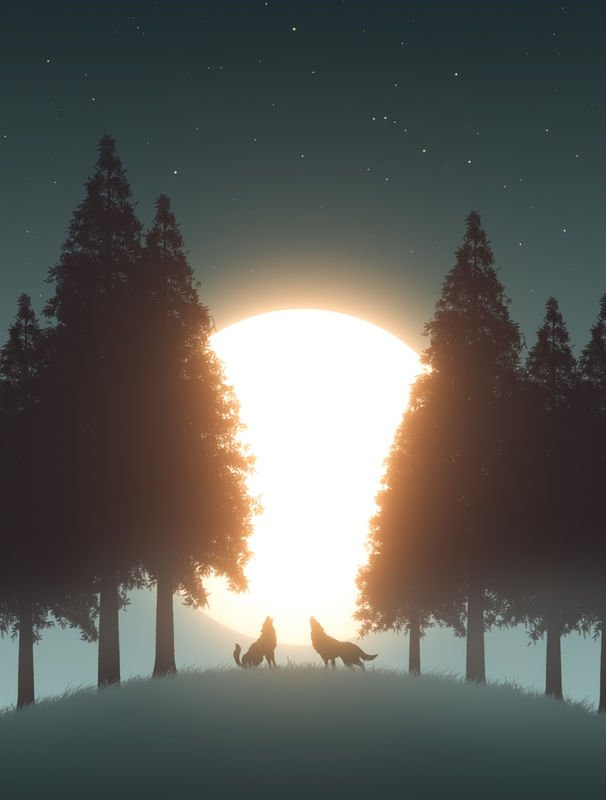 HOWLING AT THE MOON