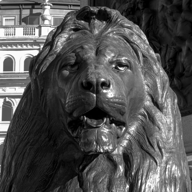LEÃO TRAFALGAR SQUARE P&B