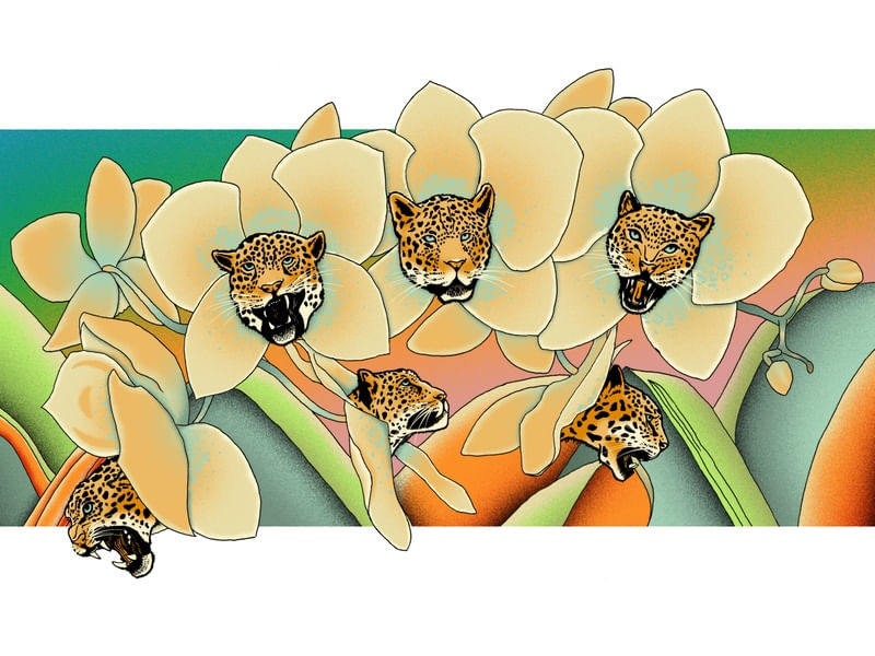 NATUREZA SELVAGEM