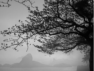 NÉVOA CARIOCA