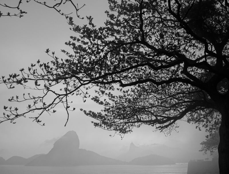 NÉVOA CARIOCA