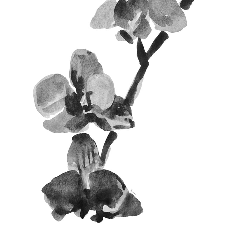 DA NOSSA FLORA NO. 5 AQUARELA