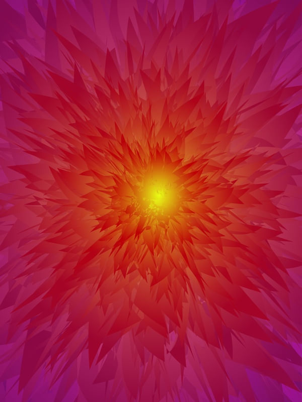 A FLOR DA EXPLOSÃO