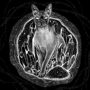 GATO ENIGMA