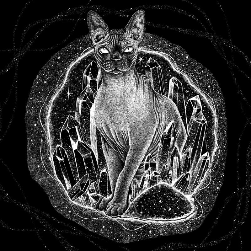 GATO ENIGMA