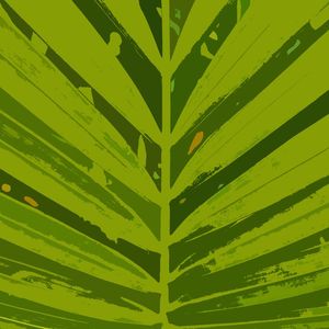 NATUREZA COR 087 LV