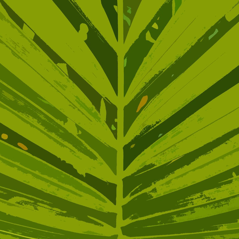 NATUREZA COR 087 LV