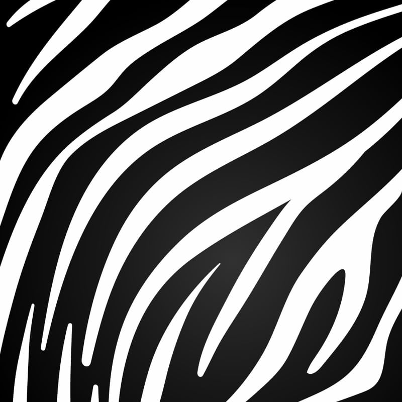DEU ZEBRA I
