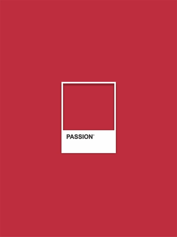 PANTONE PASSION