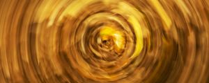 GOLDEN CHAOS