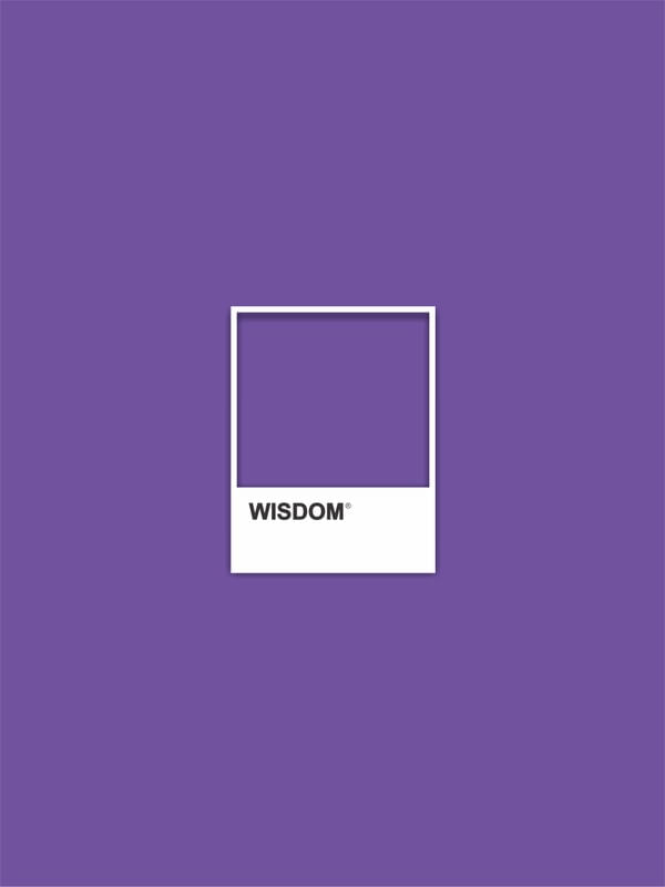 PANTONE WISDOM