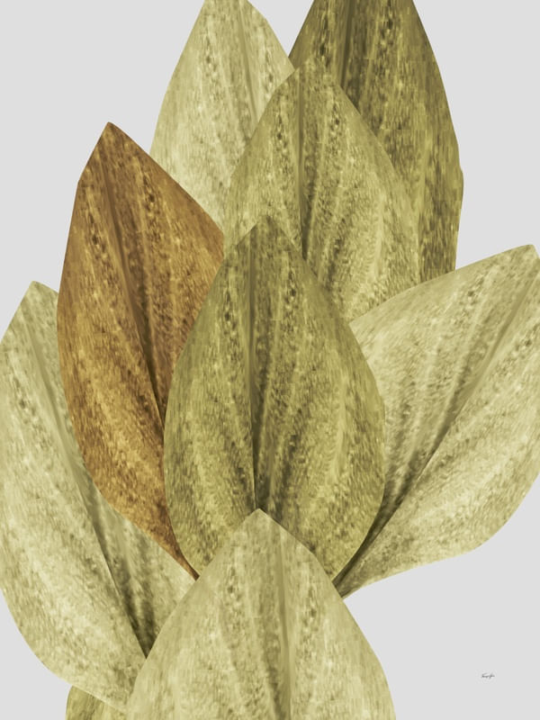 ABSTRACT - PLANTS 20.01.21