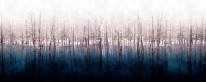 INVERNO AZUL