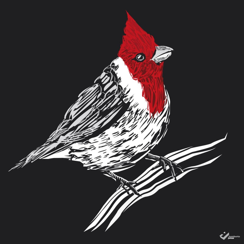 CARDEAL - XILOGRAVURA DIGITAL