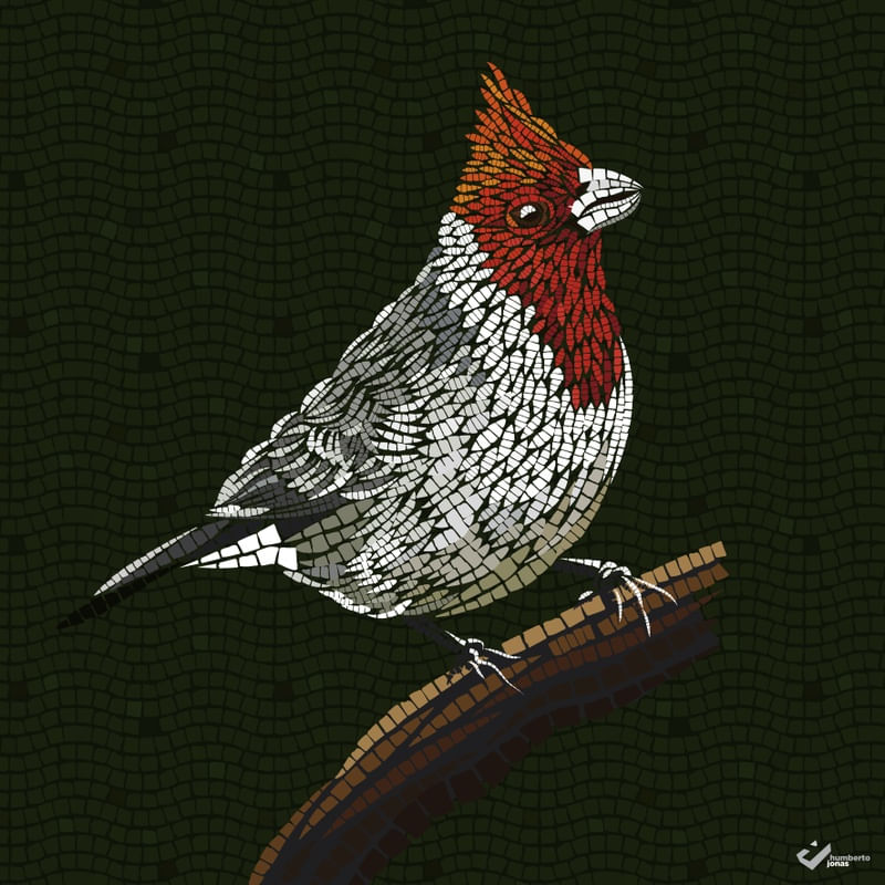 CARDEAL - MOSAICO DIGITAL