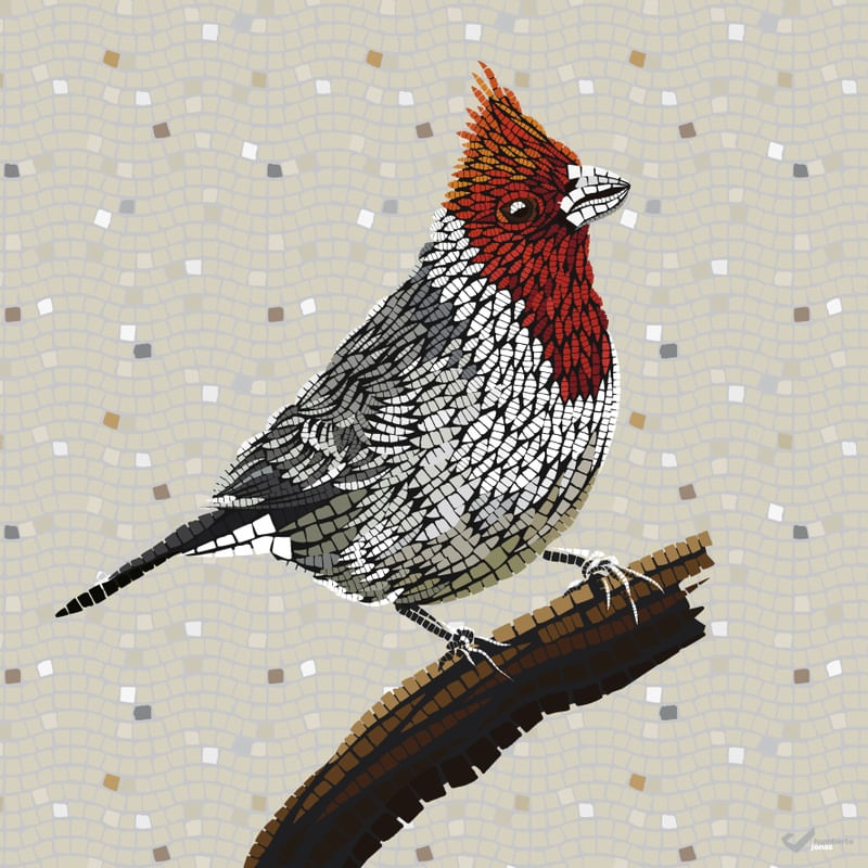 PÁSSARO - MOSAICO DIGITAL