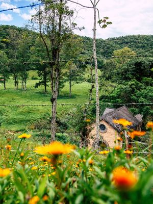 FÁBRICA DAS FLORES