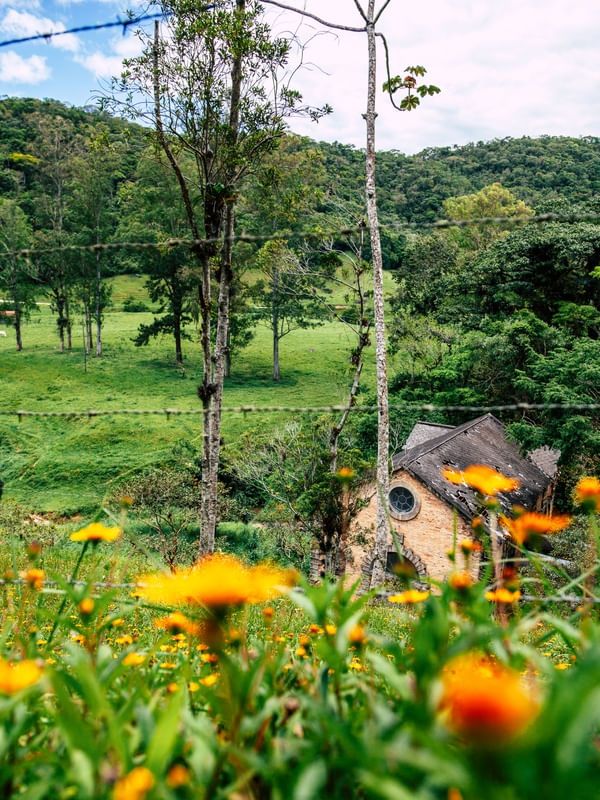FÁBRICA DAS FLORES