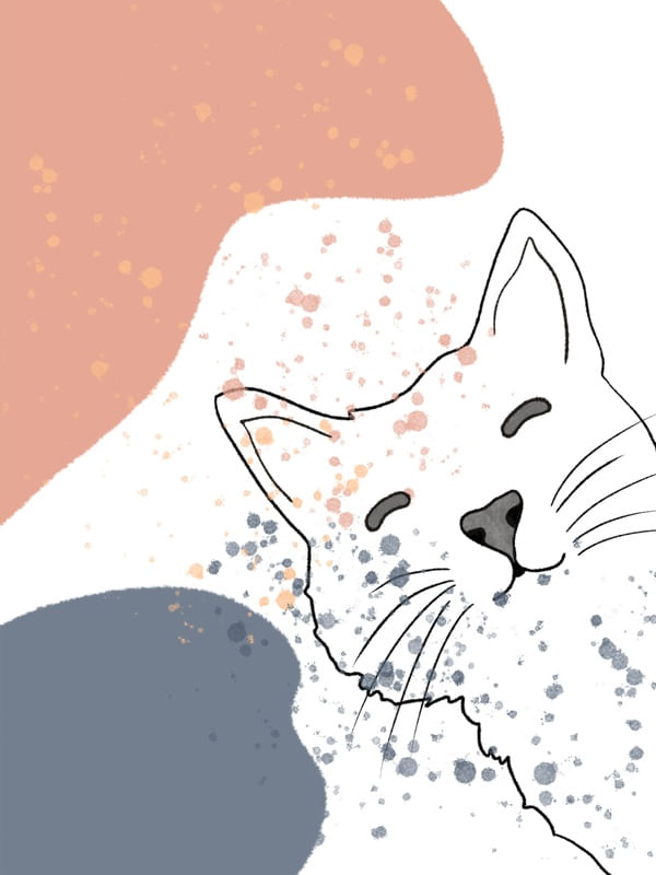 AMOR POR FELINOS