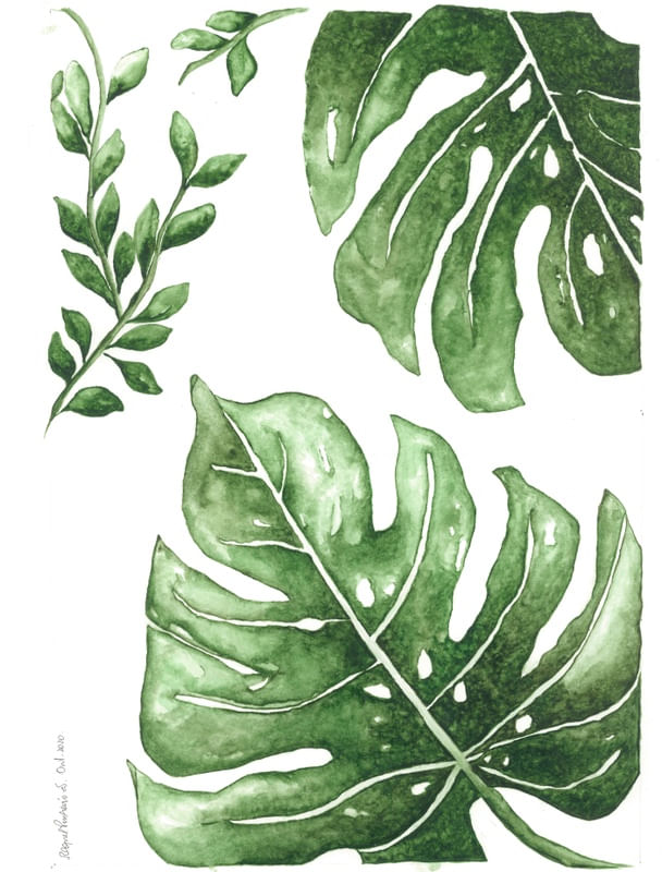 FOLHAS EM AQUARELA 1