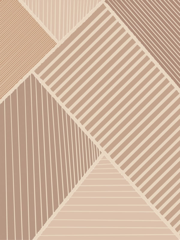 LINHAS E GEOMETRIA COMPOSIÇÃO