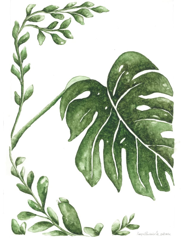 FOLHAS EM AQUARELA 2