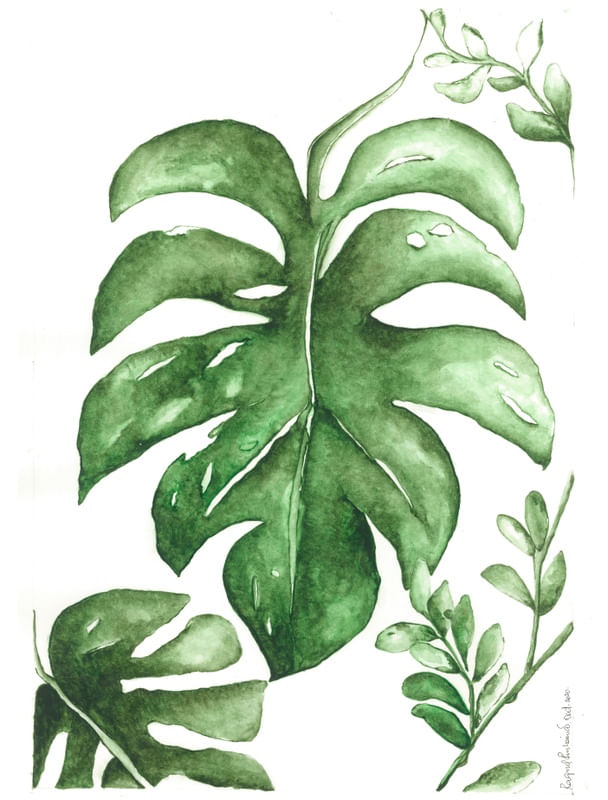 FOLHAS EM AQUARELA 3