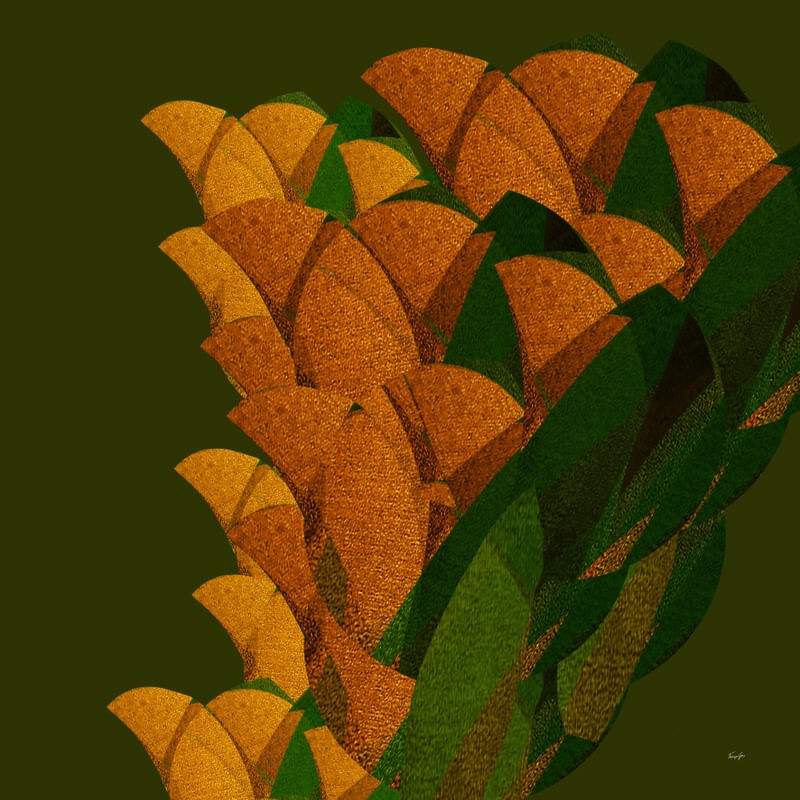 ABSTRACT - BIRDS 13.01.21