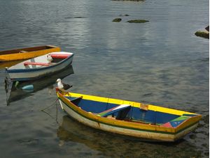BARCOS IMG_83380
