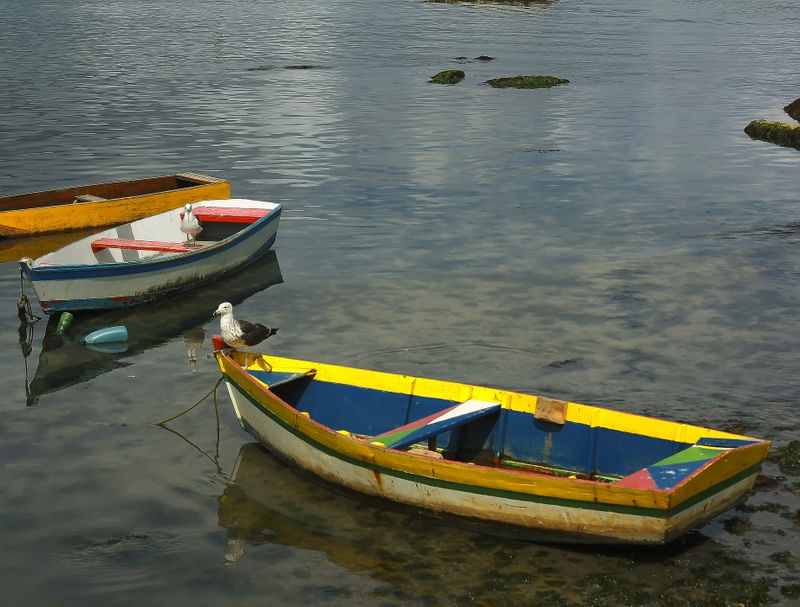 BARCOS IMG_83380
