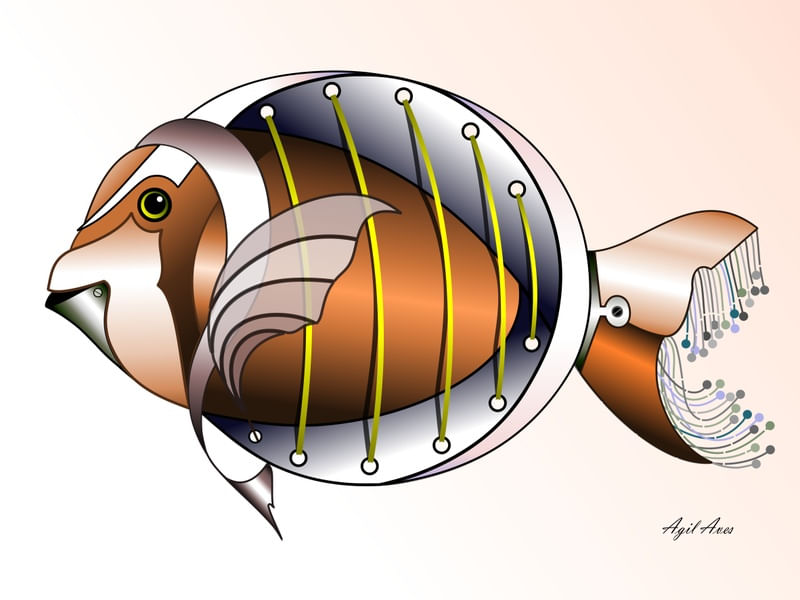 PEIXINHO FORA D'ÁGUA