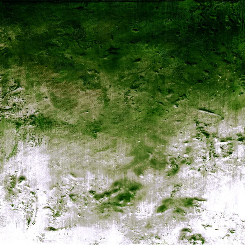 FAR BELOW 2 INVERTED, VERDE BRANCO BOTANICO ELEGANTE ABSTRATO MODERNO PINTURA