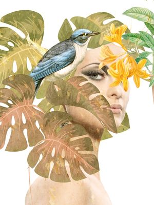 FLORA 03