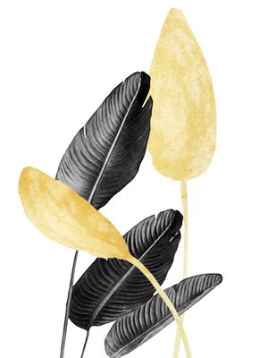 BIRD OF PARADISE PLANT BLACK, WHITE AND GOLD 02