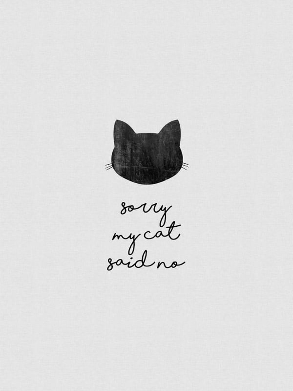 SORRY MY CAT SAID NO