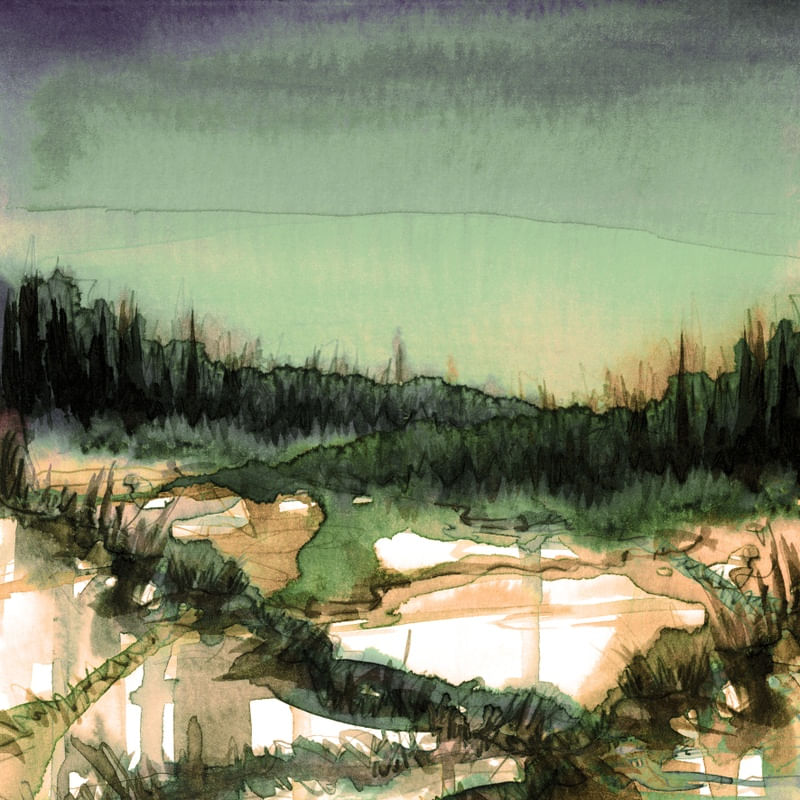 NATURE REIGNS SUPREME 1, VERDE SALVIA BEGE FLORESTA ARVORES NATUREZA PINTURA