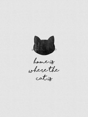 HOME IS WHERE THE CAT IS