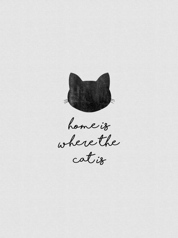 HOME IS WHERE THE CAT IS