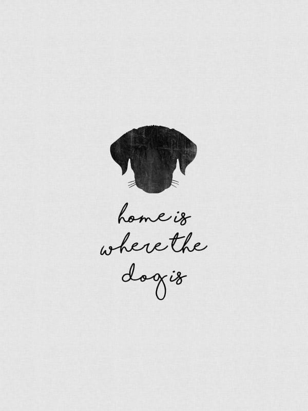 HOME IS WHERE THE DOG IS QUOTE